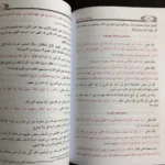 رحلة الى الدار الآخرة محمود المصري